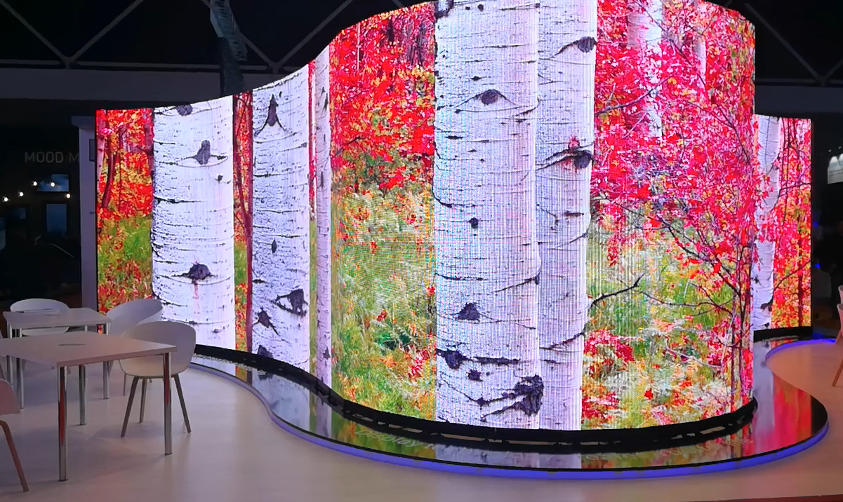 Transparent-wave-display-forest